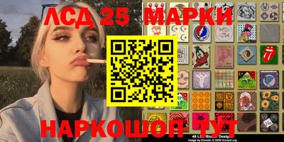 mdma Камышлов