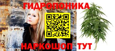 тгк Кимры