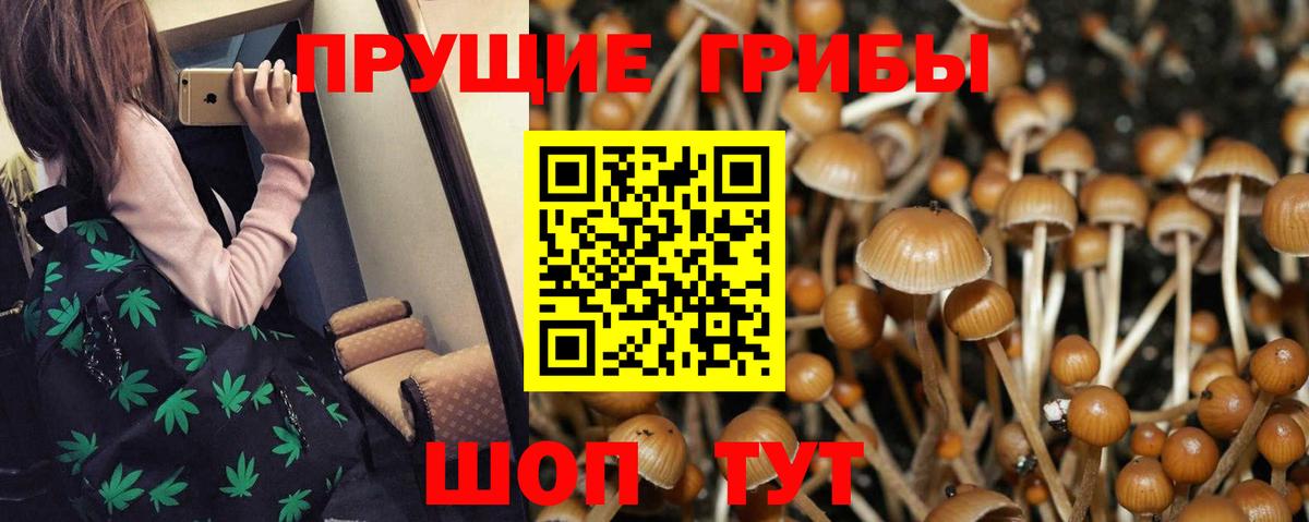 Псилоцибиновые грибы прущие грибы Котовск