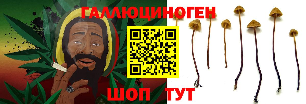 Псилоцибиновые грибы MAGIC MUSHROOMS  Галлюциногенные грибы Cubensis  Котовск  Вход с VPN 